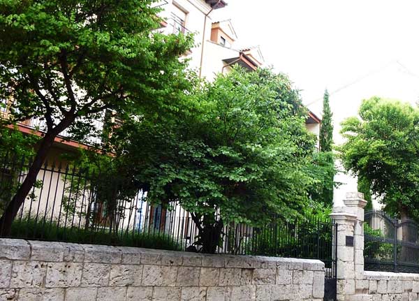 F10. Vista de unos jardines de viviendas con fachadas retrasadas de la línea de calle, próximos a la catedral de Valladolid.