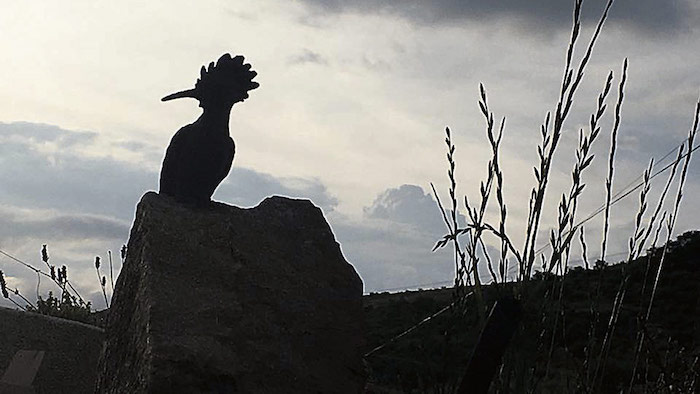 pajaros-romeria-paradilla-leon